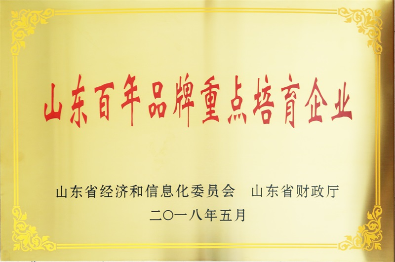 山东百年品牌重点培育企业